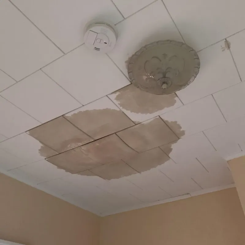 Ceiling Water Damage Repair in Lake View, IA