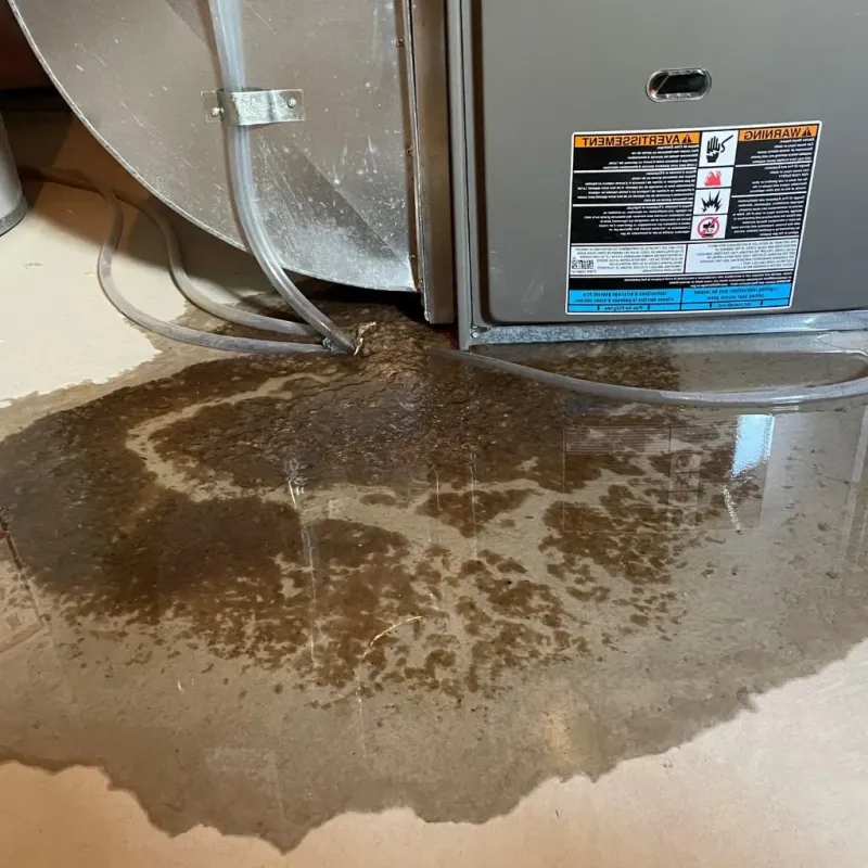 Pipe Burst and Leak Restoration in Lake View, IA