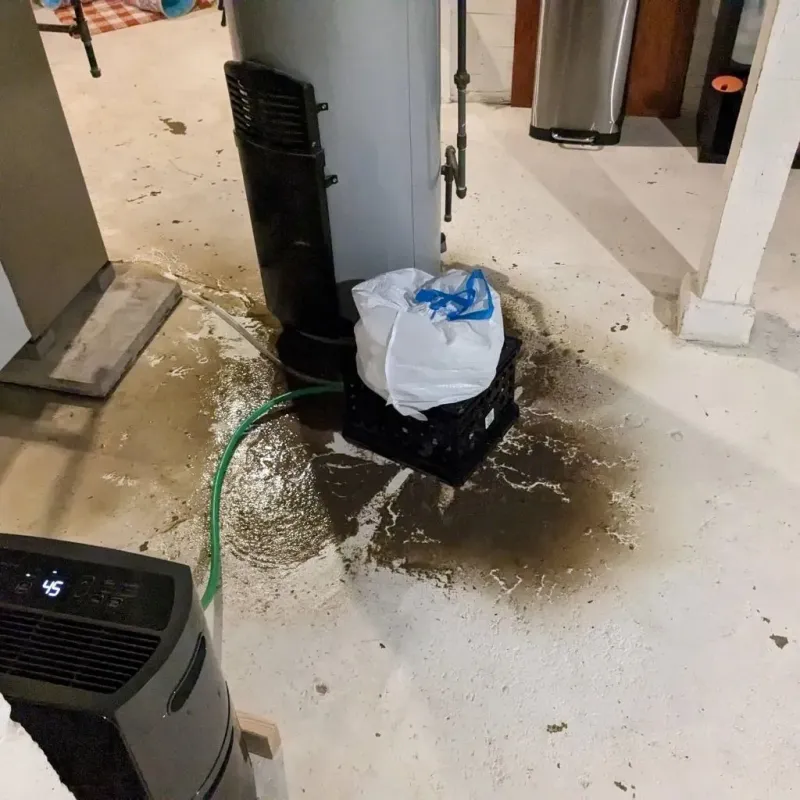 Sewage Backup Cleanup Service in Lake View, IA
